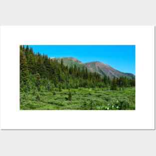 Lush Mountain Meadow. Posters and Art